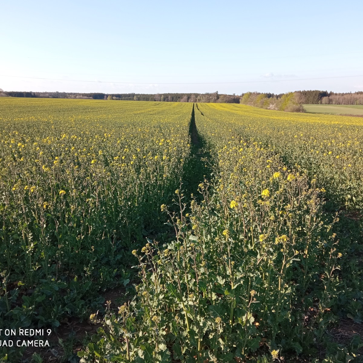 Affermazioni per iniziare bene la&nbsp;giornata